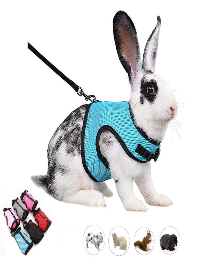 WeimoMonkey Rabbit Leash and Harness Set Escape Proof, Bunny Vest Hamster Leash Set Mesh Eescape Proof Walking Training for Small Animal Pets Rat Squirrel Ferret Guinea Pig Bunny,Blue L - Image 1